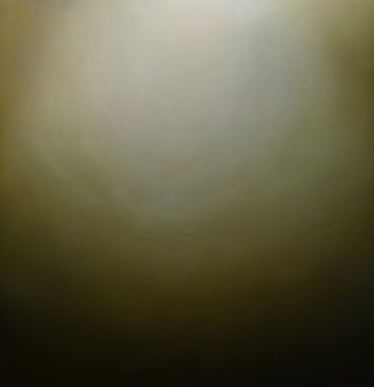 Head 2011. Oil on canvas 62x64